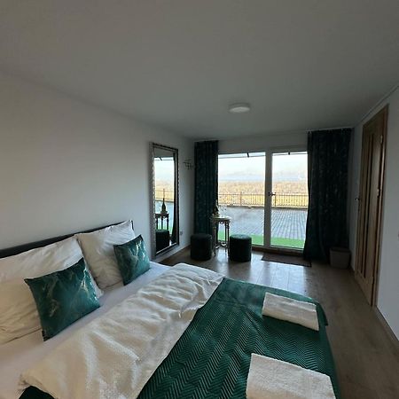 Apartament Bena Ze Zjawiskowym Tarasem Widokowym Chełmno Esterno foto